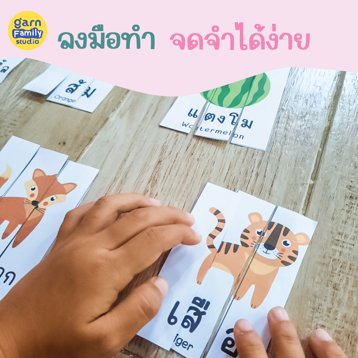 ReadAc-set4-คลังศัพท์อนุบาล5